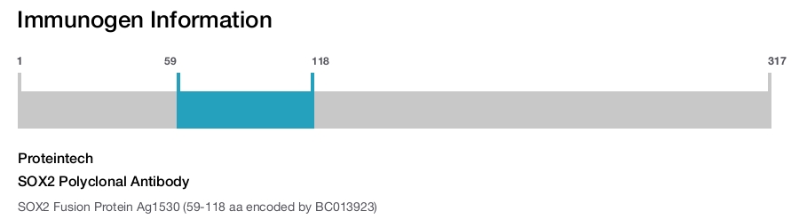 SOX2 Polyclonal Antibody