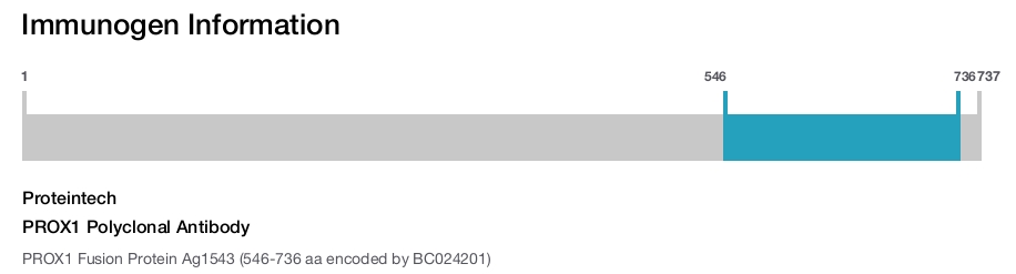 PROX1 Polyclonal Antibody