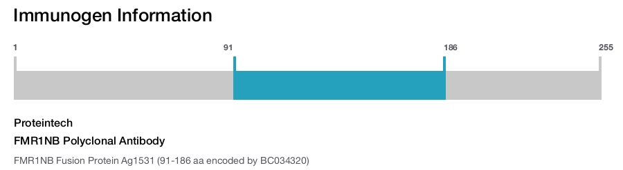 FMR1NB Polyclonal Antibody