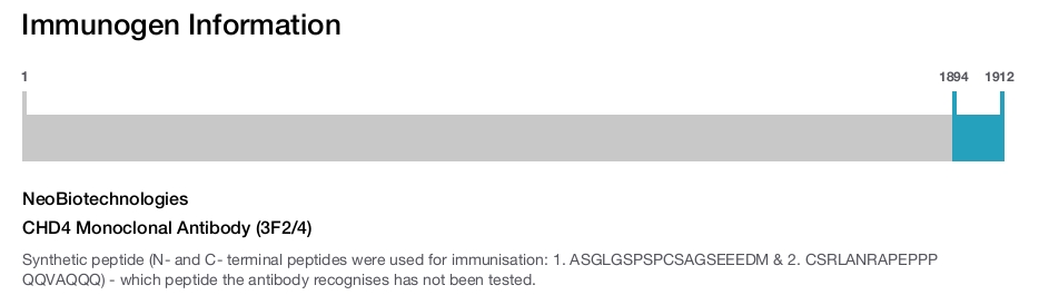 CHD4 Monoclonal Antibody (3F2/4)