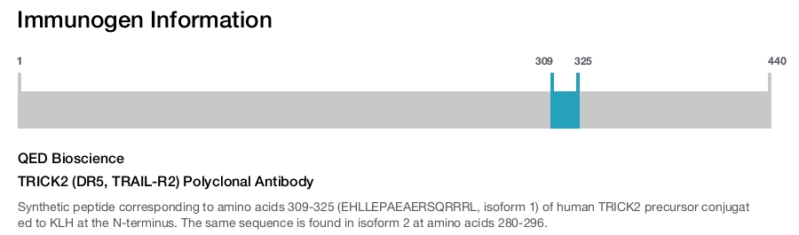 TRICK2 (DR5, TRAIL-R2) Polyclonal Antibody