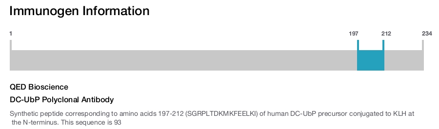DC-UbP Polyclonal Antibody