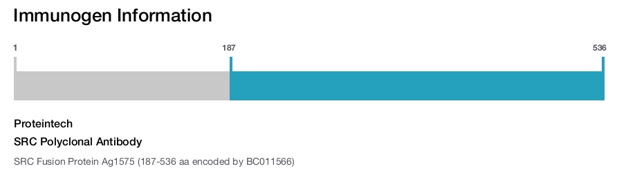 SRC Polyclonal Antibody