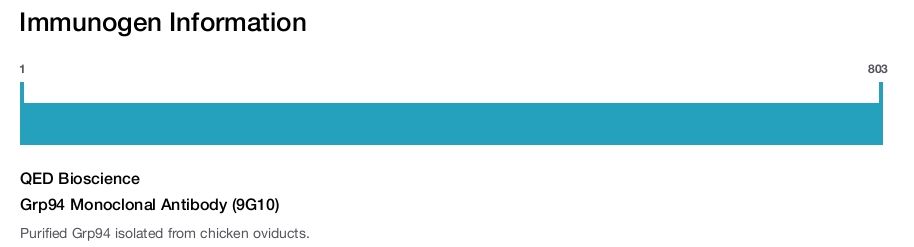 Grp94 Monoclonal Antibody (9G10)