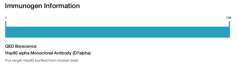 Hsp90 alpha Monoclonal Antibody (D7alpha)