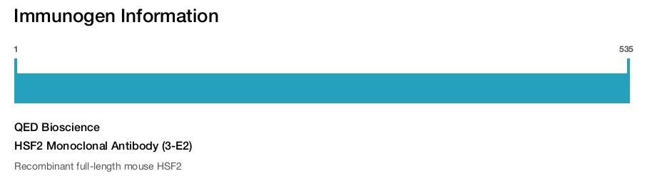 HSF2 Monoclonal Antibody (3-E2)