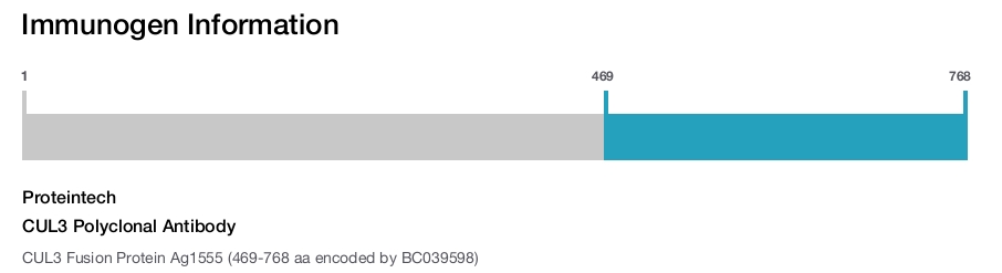CUL3 Polyclonal Antibody