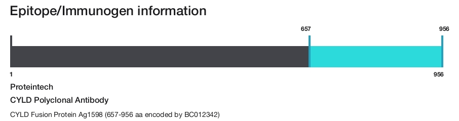 CYLD Polyclonal Antibody
