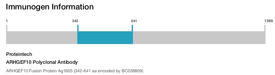 ARHGEF10 Polyclonal Antibody