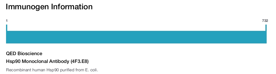 Hsp90 Monoclonal Antibody (4F3.E8)