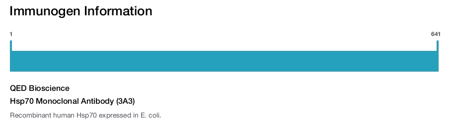 Hsp70 Monoclonal Antibody (3A3)