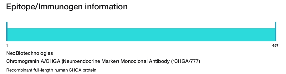 Chromogranin A/CHGA (Neuroendocrine Marker) Monoclonal Antibody (rCHGA/777)