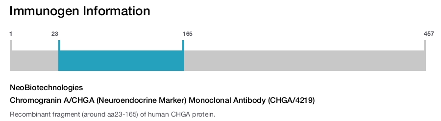 Chromogranin A/CHGA (Neuroendocrine Marker) Monoclonal Antibody (CHGA/4219)