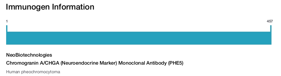 Chromogranin A/CHGA (Neuroendocrine Marker) Monoclonal Antibody (PHE5)