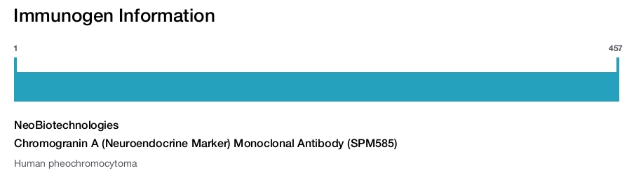 Chromogranin A (Neuroendocrine Marker) Monoclonal Antibody (SPM585)
