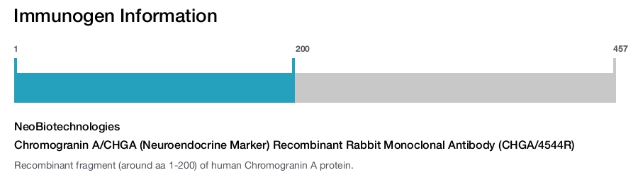 Chromogranin A/CHGA (Neuroendocrine Marker) Recombinant Rabbit Monoclonal Antibody (CHGA/4544R)