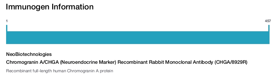Chromogranin A/CHGA (Neuroendocrine Marker) Recombinant Rabbit Monoclonal Antibody (CHGA/8929R)
