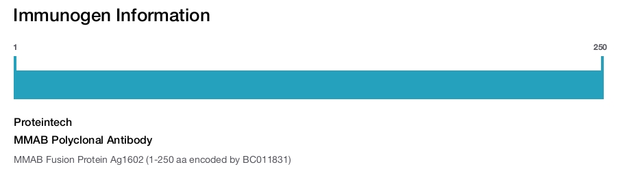 MMAB Polyclonal Antibody