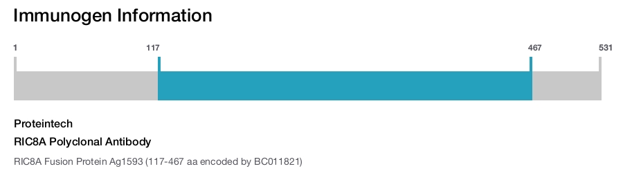 RIC8A Polyclonal Antibody