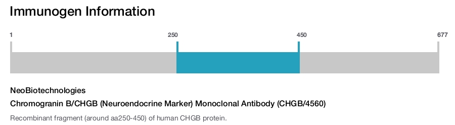 Chromogranin B/CHGB (Neuroendocrine Marker) Monoclonal Antibody (CHGB/4560)