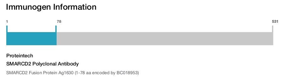 SMARCD2 Polyclonal Antibody