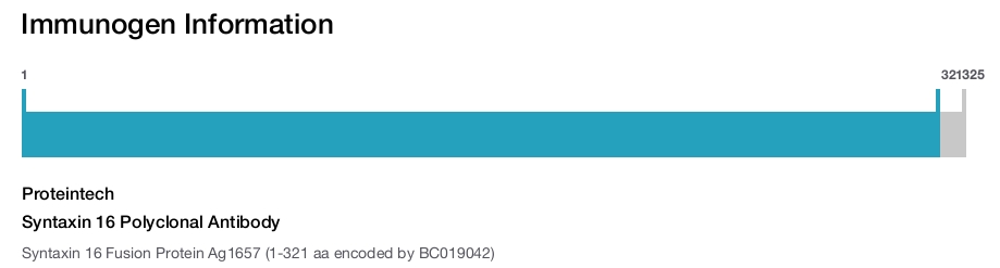 Syntaxin 16 Polyclonal Antibody