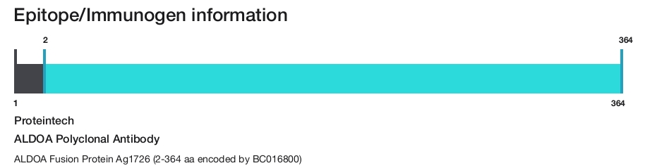 ALDOA Polyclonal Antibody