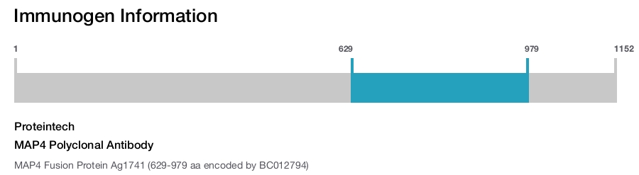 MAP4 Polyclonal Antibody