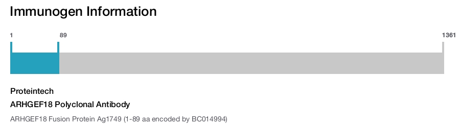 ARHGEF18 Polyclonal Antibody