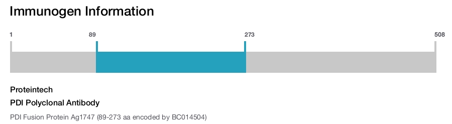 PDI Polyclonal Antibody
