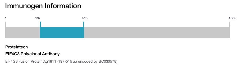 EIF4G3 Polyclonal Antibody