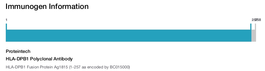 HLA-DPB1 Polyclonal Antibody