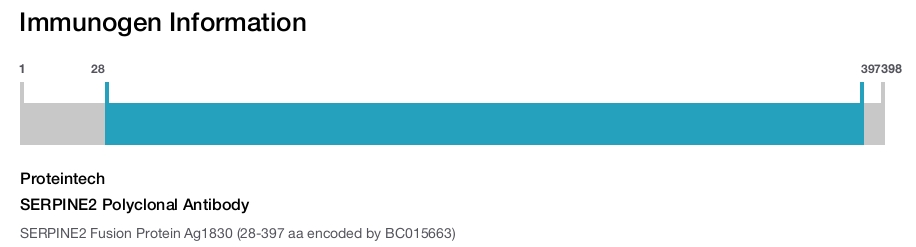 SERPINE2 Polyclonal Antibody