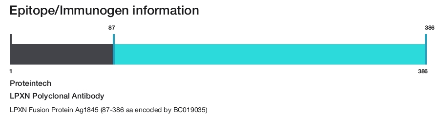 LPXN Polyclonal Antibody