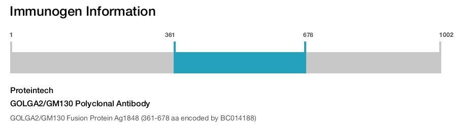 GOLGA2/GM130 Polyclonal Antibody