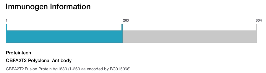 CBFA2T2 Polyclonal Antibody