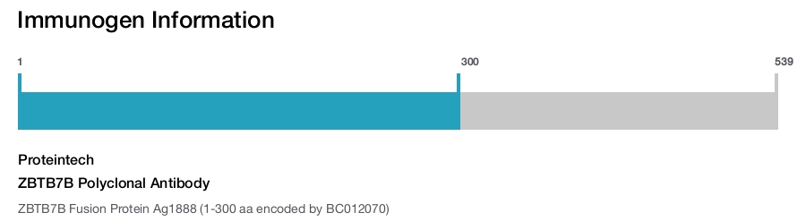 ZBTB7B Polyclonal Antibody