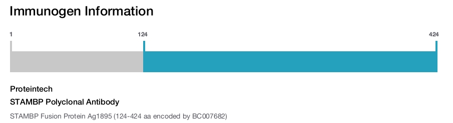 STAMBP Polyclonal Antibody
