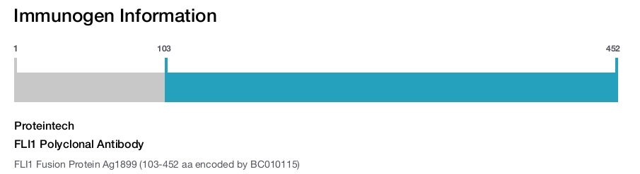 FLI1 Polyclonal Antibody
