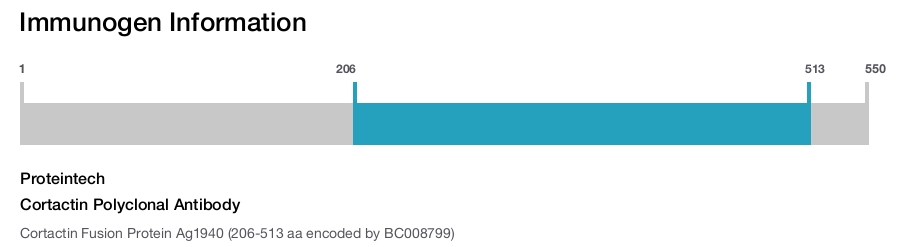 Cortactin Polyclonal Antibody