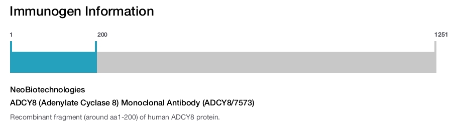 ADCY8 (Adenylate Cyclase 8) Monoclonal Antibody (ADCY8/7573)