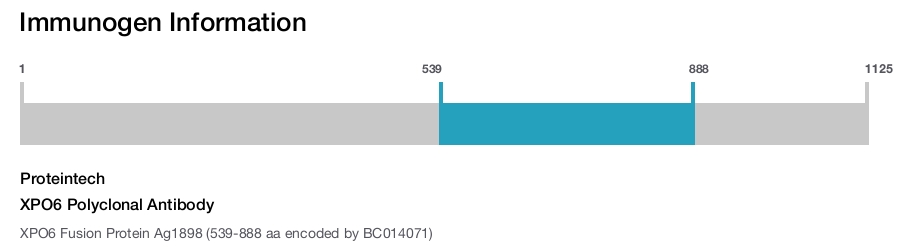 XPO6 Polyclonal Antibody
