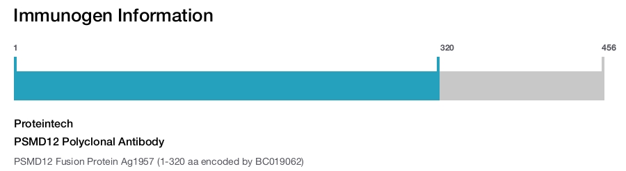 PSMD12 Polyclonal Antibody