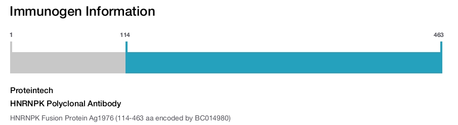 HNRNPK Polyclonal Antibody