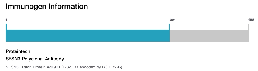 SESN3 Polyclonal Antibody