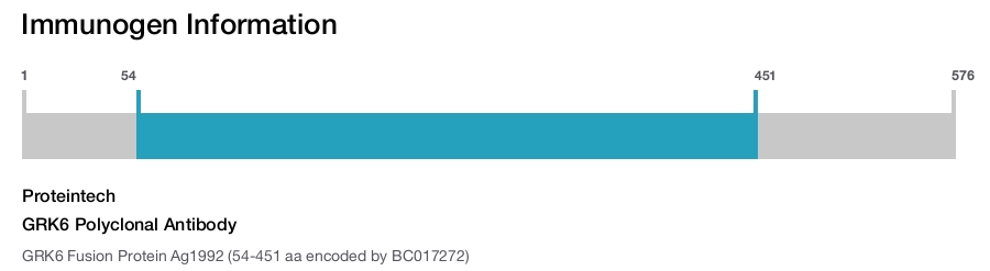 GRK6 Polyclonal Antibody