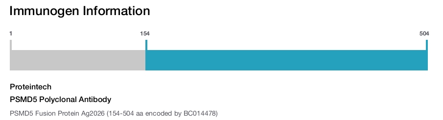 PSMD5 Polyclonal Antibody