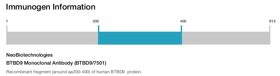 BTBD9 Monoclonal Antibody (BTBD9/7501)