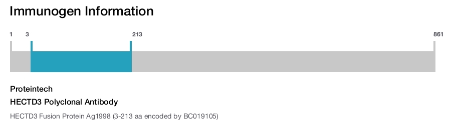HECTD3 Polyclonal Antibody