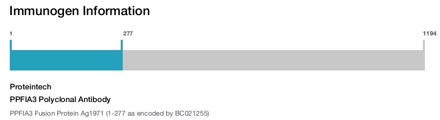 PPFIA3 Polyclonal Antibody